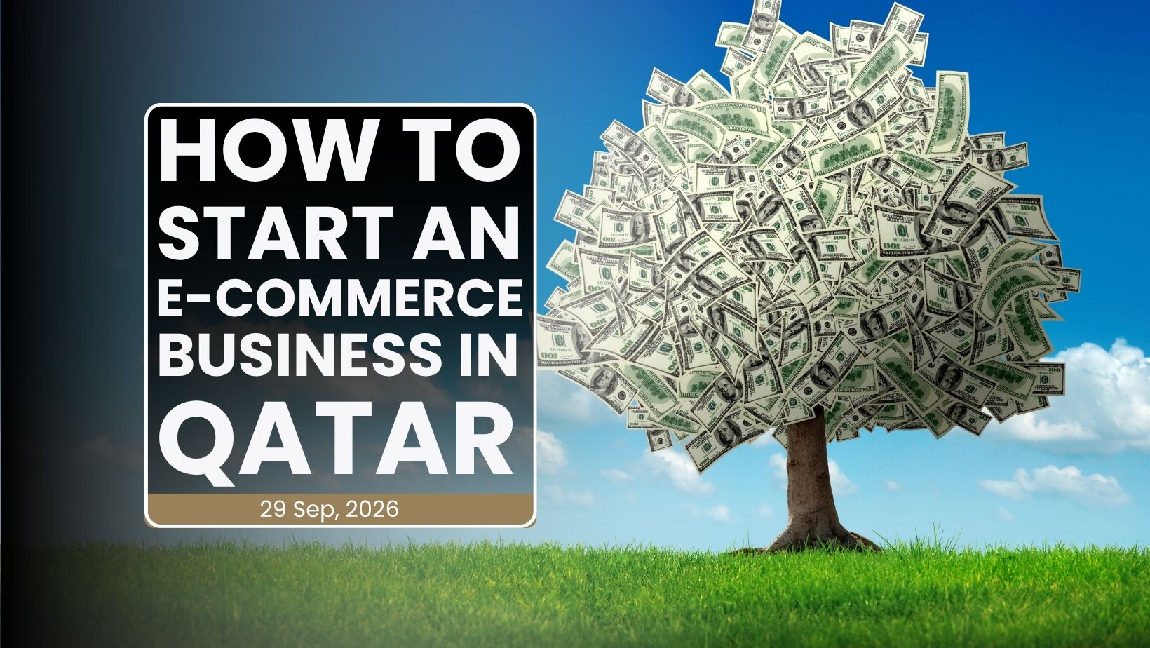 How to Start an E-Commerce Business in Qatar: Key Questions, Costs & Things to Know — Tejwaans Corporate Group Qatar